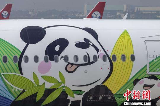 川航空客A350“熊猫客机”。　钟欣 摄