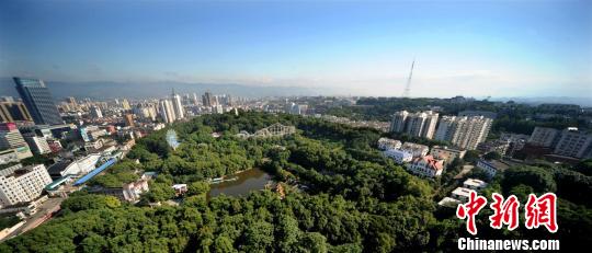 宜昌市森林覆盖率达到65.16%(资料图) 宜宣 摄