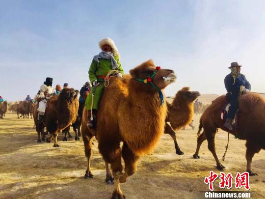 内蒙古阿拉善英雄会骆驼文化旅游节启幕