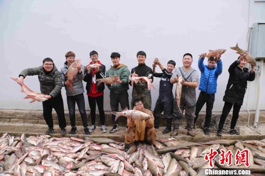 武汉一高校捕鱼4千斤师生齐动手共享春鱼宴