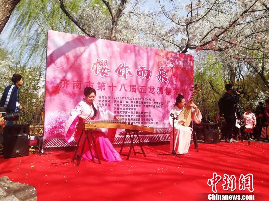 本届樱花节将樱花与中华古典文化融合，游客可以在樱花树下欣赏到极具传统的汉服秀表演、茶道表演。　孙婷婷 摄